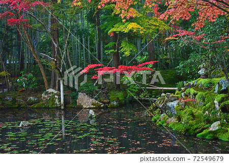 Autumn leaves in Kyoto Tenju-an Autumn leaves in Kyoto Tenju-an 72549679