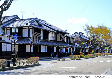 Sakura Hikone Castle Sakura Hikone Castle 72550329