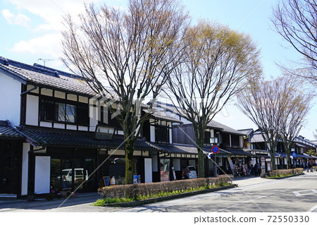 Sakura Hikone Castle 72550330