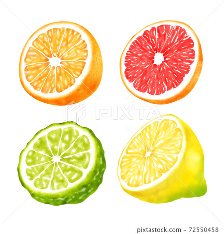 水彩插圖4種柑橘設置一半 水彩插圖4種柑橘設置一半 72550458
