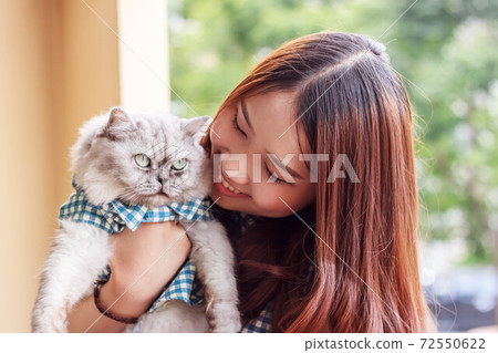 Close up of young Asian woman playing with her persian cat, human-animal relationships. 72550622