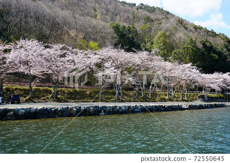 滋賀縣大津市佐佐木 滋賀縣大津市佐佐木 72550645