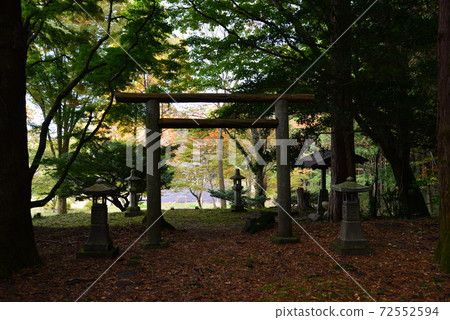 秋季山形有田紀念館#65 秋季山形有田紀念館#65 72552594