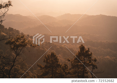 Mountain forest view in the evening Mountain forest view in the evening 72552682