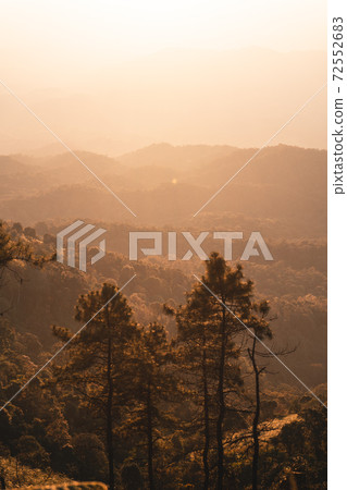 Mountain forest view in the evening Mountain forest view in the evening 72552683