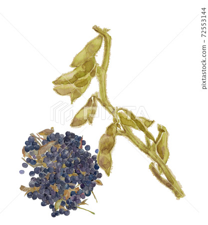 套黑穀物去除穀物前後蔬菜材料[水彩插圖] 72553144