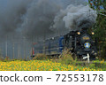 SL Taiki and Sunflower 72553178