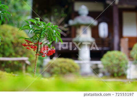 Ten thousand cars in the temple 1 Ten thousand cars in the temple 1 72553197