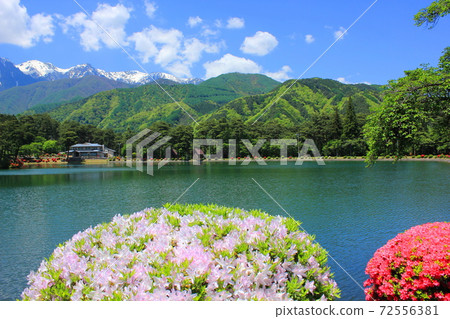 Senninzuka Park Campground Azalea Season 72556381