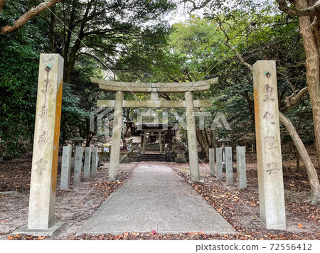 Okunoshima Shrine 72556412