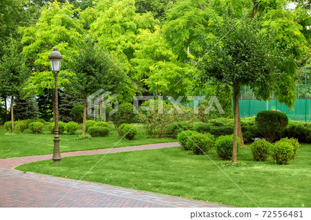 a park with pedestrian walkways with many different plants, an iron lantern on a summer day. 72556481