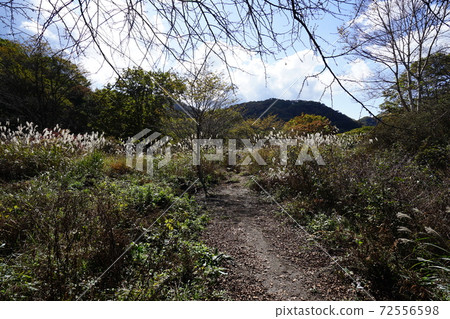 群馬縣春菜高原高原沼原友之道山路 群馬縣春菜高原高原沼原友之道山路 72556598