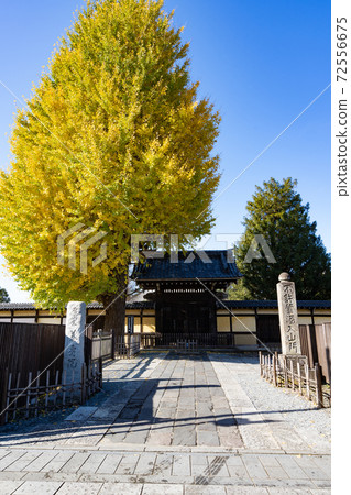 Koedo Kawagoe Yojuin十二月<Sa玉縣川越市> 72556675