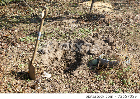 A shovel and a hole stuck in the soil 72557059