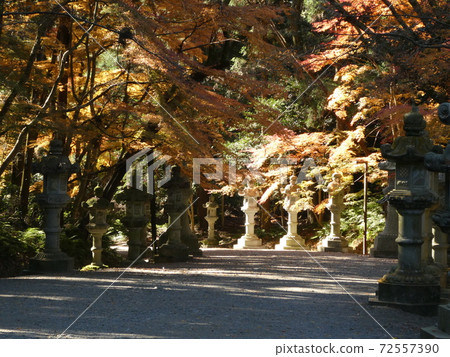 Katori Shrine Katori Shrine 72557390