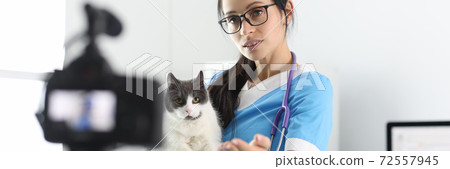 Veterinarian records the examination of the cat on camera. 72557945