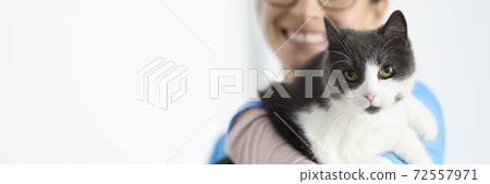 Smiling veterinarian holds cat in his arms. Smiling veterinarian holds cat in his arms. 72557971