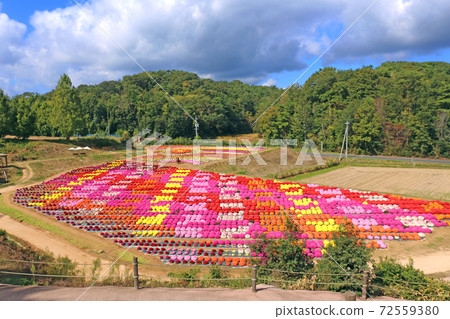 Mom's Flower 72559380