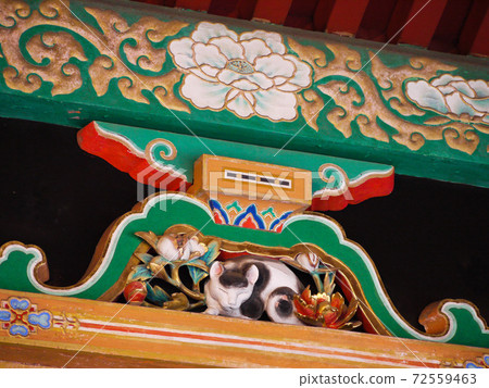 日光東照宮睡覺的貓 日光東照宮睡覺的貓 72559463