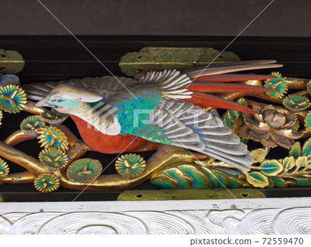 日光東照宮的木雕 照片素材 圖片 圖庫