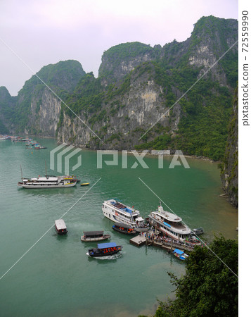 Halong Bay Cruise Halong Bay Cruise 72559990