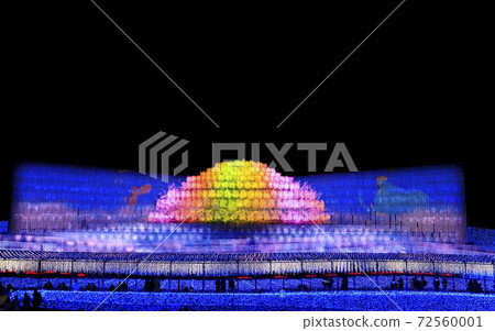 Nabana no Sato illuminations main venue 72560001