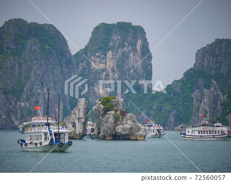 Halong Bay Cruise Halong Bay Cruise 72560057