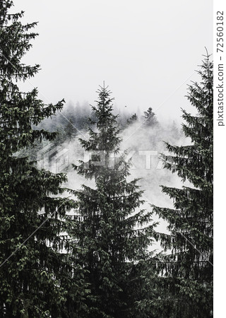 Misty mountain landscape Misty mountain landscape 72560182