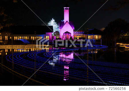 Nabana no Sato Illumination 72560256