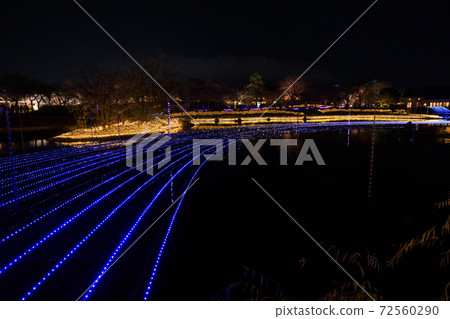 Nabana no Sato Illumination Nabana no Sato Illumination 72560290