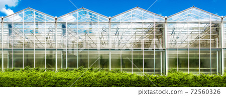 agricultural building facade made of glass greenhouse for growing vegetables all year round on a sunny day with green evergreen bushes and blue sky. agricultural building facade made of glass greenhouse for growing vegetables all year round on a sunny day with green evergreen bushes and blue sky. 72560326