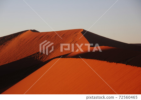 Namib Desert Dune 72560465