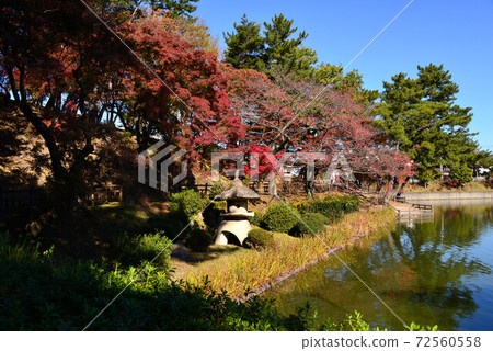 Autumn leaves of Okazaki East Park Autumn leaves of Okazaki East Park 72560558