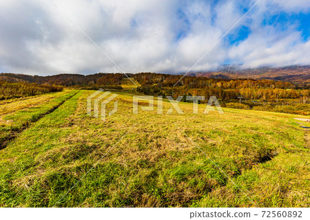(新潟縣湯澤町)苗場山頂站附近的苗場龍朵拉風光 (新潟縣湯澤町)苗場山頂站附近的苗場龍朵拉風光 72560892