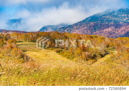 （新潟縣湯澤町）苗場山頂站附近的苗場龍朵拉風光 72560894
