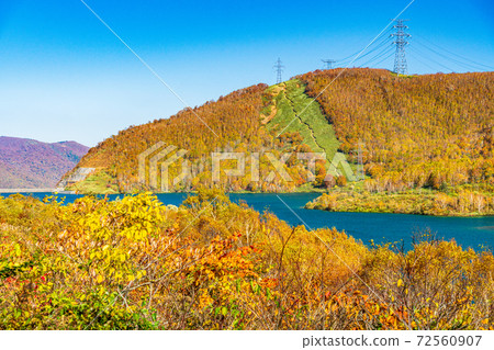 （新潟縣湯澤町）苗場山頂站附近的苗場龍朵拉風光 72560907