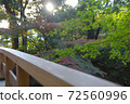 Autumn leaves and bridges in Tokugawaen, Nagoya 72560996