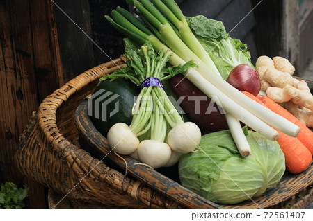 Freshly picked vegetables winter vegetables 72561407