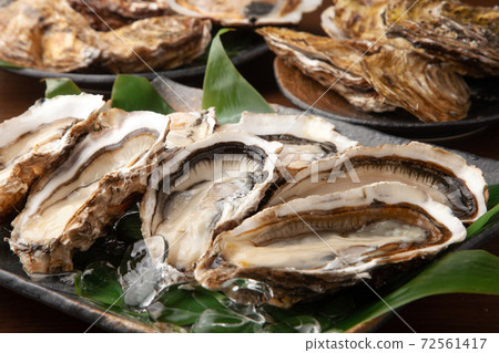Raw oysters  72561417