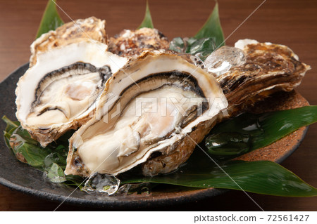 Raw oysters  72561427