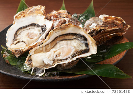 Raw oysters  72561428