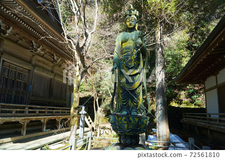 [88 places in Shikoku] No. 44 Kannon statue in the precincts of Daihoji Temple, Kumakogen Town, Ehime Prefecture 72561810