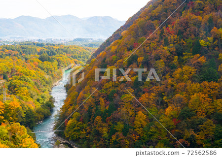 高瀨谷秋葉 72562586