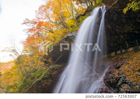 松川谷雷瀑布的秋葉 72563007