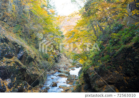 松川谷雷瀑布的秋葉 松川谷雷瀑布的秋葉 72563010