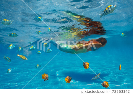 Beautiful mermaid surrounded by fishes Beautiful mermaid surrounded by fishes 72563342