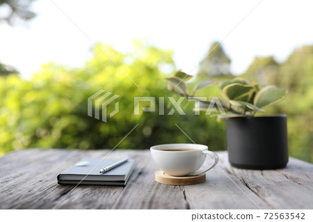 White coffee cup with notebook and Hoya kerrii in black pot White coffee cup with notebook and Hoya kerrii in black pot 72563542