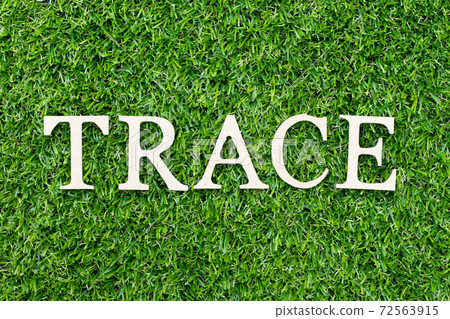Wood alphabet letter in word trace on green grass background 72563915