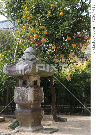 Western-style lantern 72564413