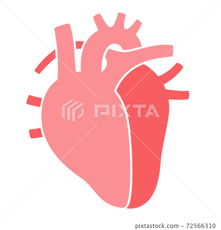 Internal human organs Internal human organs 72566310